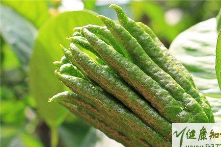 佛手瓜含碘多少