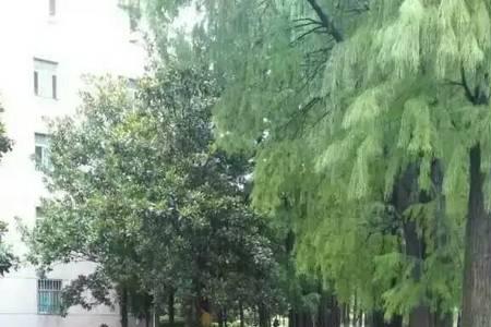 雨漫什么意思