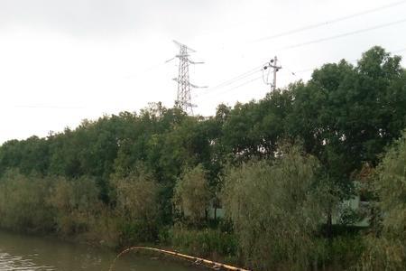 桥筏适合什么季节钓