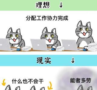 理想骨感现实丰满是什么意思