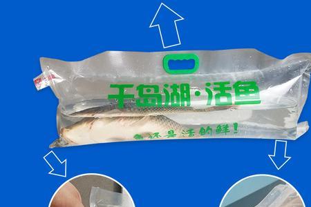 鲟鱼在氧气袋中存活几天