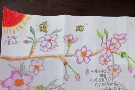 书香同沐春风暖什么意思