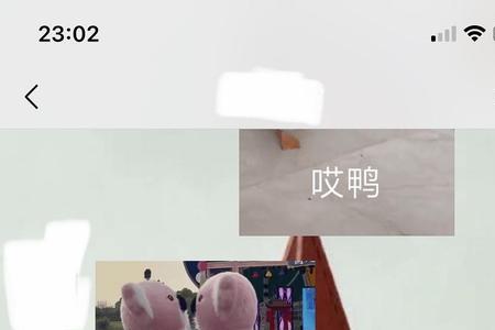 他们指的是什么意思