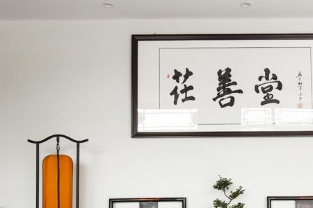 泰善堂是哪个国家的品牌