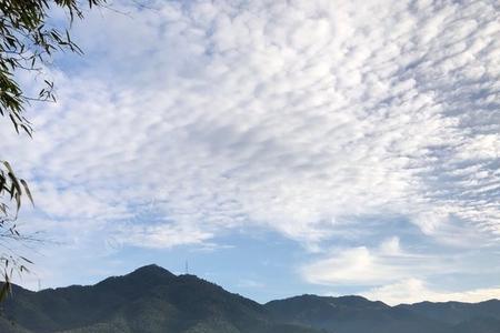 四明湖可以钓鱼吗