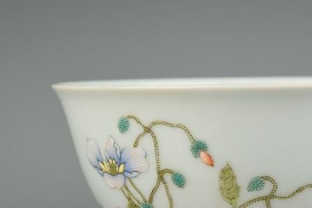 雍正时期的珐琅彩其色地有几种