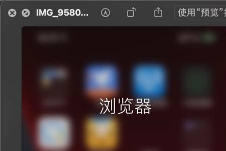 苹果浏览器找不到了怎么办