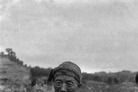 桡夫子读什么