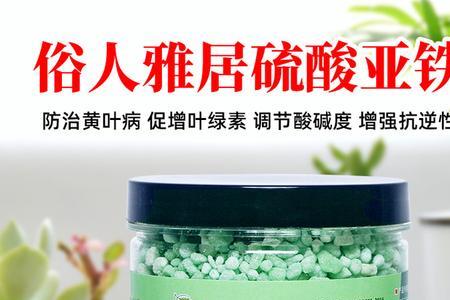 铁肥适合什么花