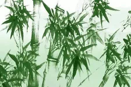 关于竹松的古诗
