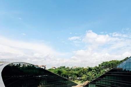 南洋理工大学医学院怎么样