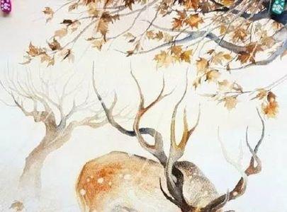 林深见鹿重播时间