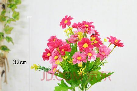 插塑料花有毒吗