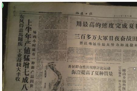 西龙226亩产多少斤