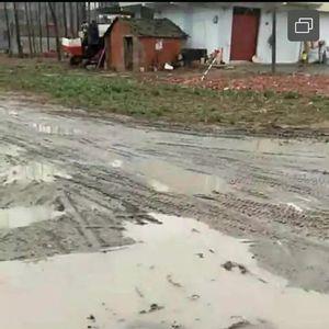 世界上水泥路是什么时候出现