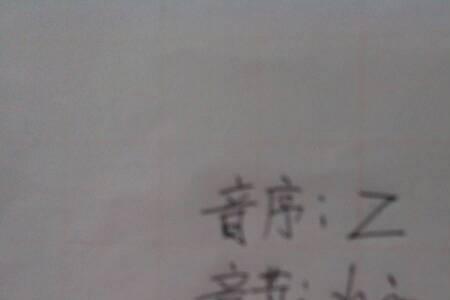 脑的音序