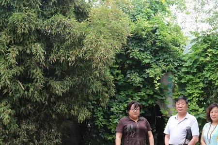 山东临沂洗砚池书法家