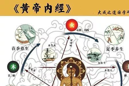 岐黄传人是什么意思