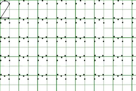 羊的田字格写法幼儿园