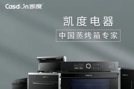帝森集成灶是品牌吗