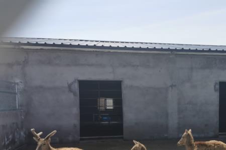 九鼎山野生动物园表演时间