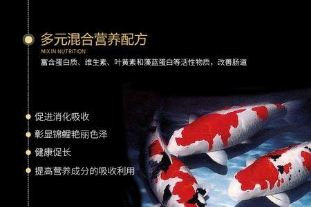 镜鲤养殖饲料配方