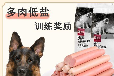 四个月的迷你杜宾能吃火腿吗