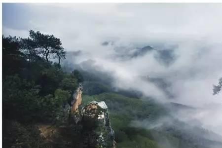 云阳云峰海拔多少