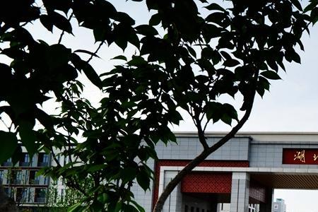 襄阳三中新校区属于哪个区