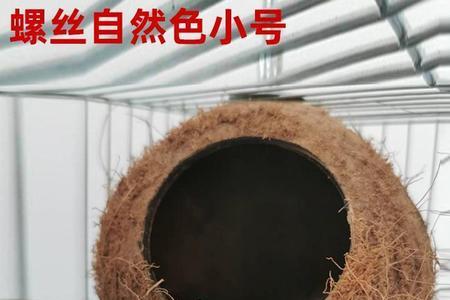 鸟窝好评评语