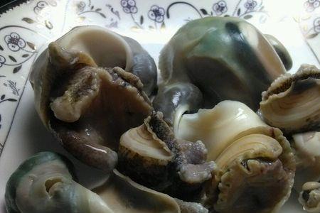 海螺筋是什么