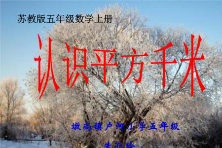 千牛除以平方米的单位