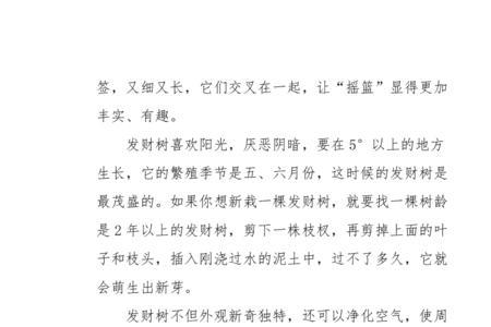 发财树怎么写观察记录卡