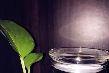 潮汕酸甜醋的做法