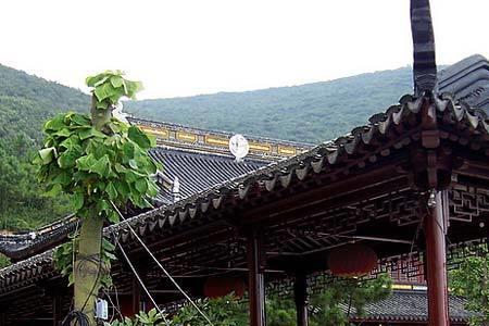 苏州凤凰禅寺开放时间