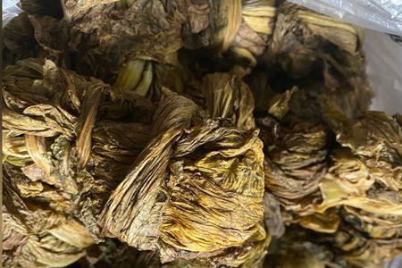 泸州酸菜泡制方法