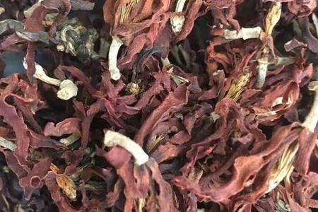 玉兰花茶什么味道