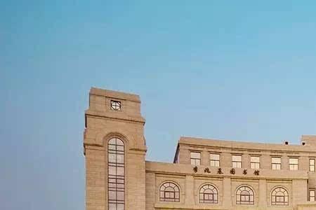 复旦大学是偏文还是偏理