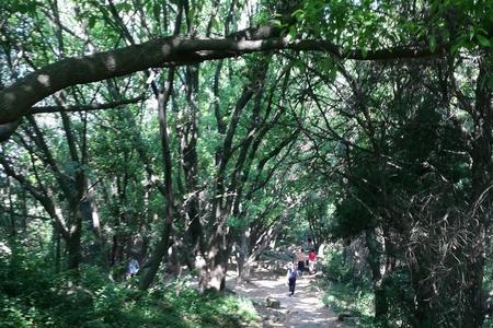 惠山爬山入口在景区里吗