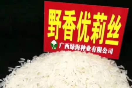 又香优丝苗和野香优哪个好