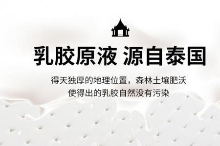 乳胶加高密度海绵好不好