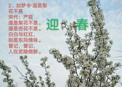 一年级关于梨花的古诗