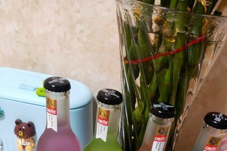 第一次喝啤酒什么感觉