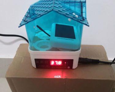 水床温度怎么校准