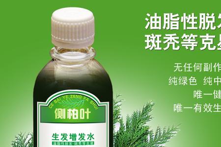 侧柏叶产松子吗