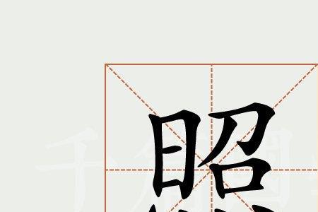 与照字同义的字
