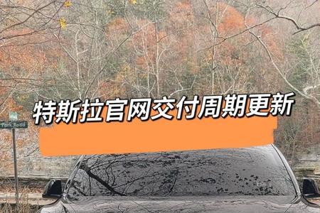怎么确认特斯拉面试通过了