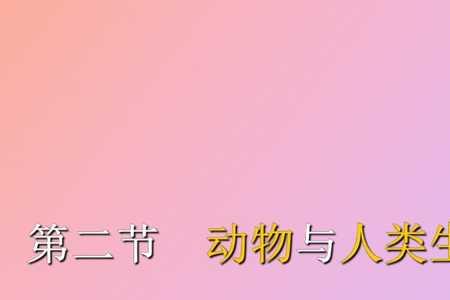人与动物的情感的区别