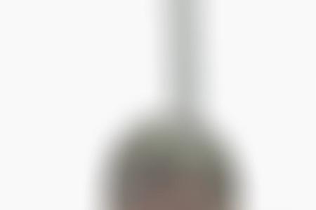 七分饱和八分饱是什么意思
