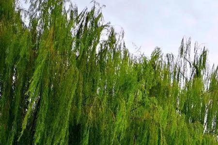 商丘周边三百公里景区